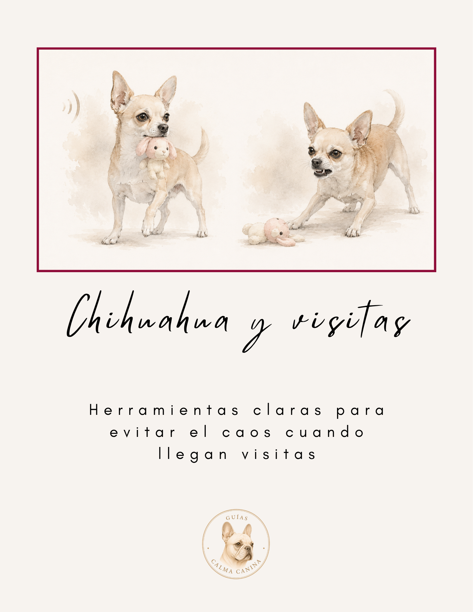 Chihuahua y visitas